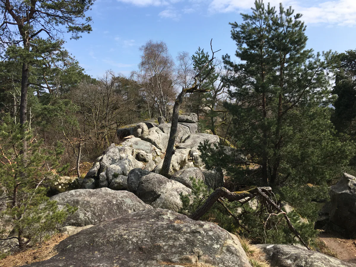 Débuter l’escalade à Fontainebleau