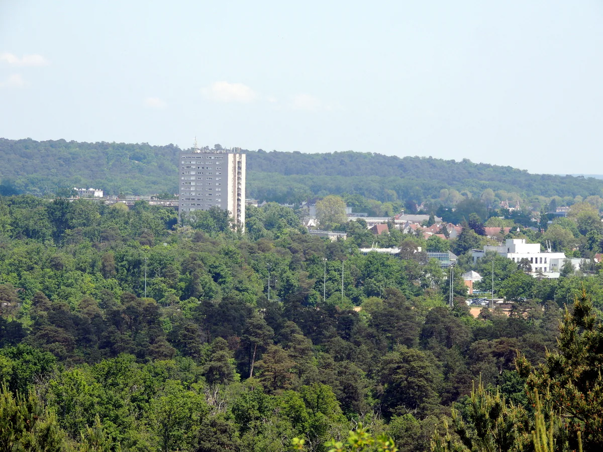 Vue sur Fontainebleau et la canopée depuis le secteur du Mont Aigu