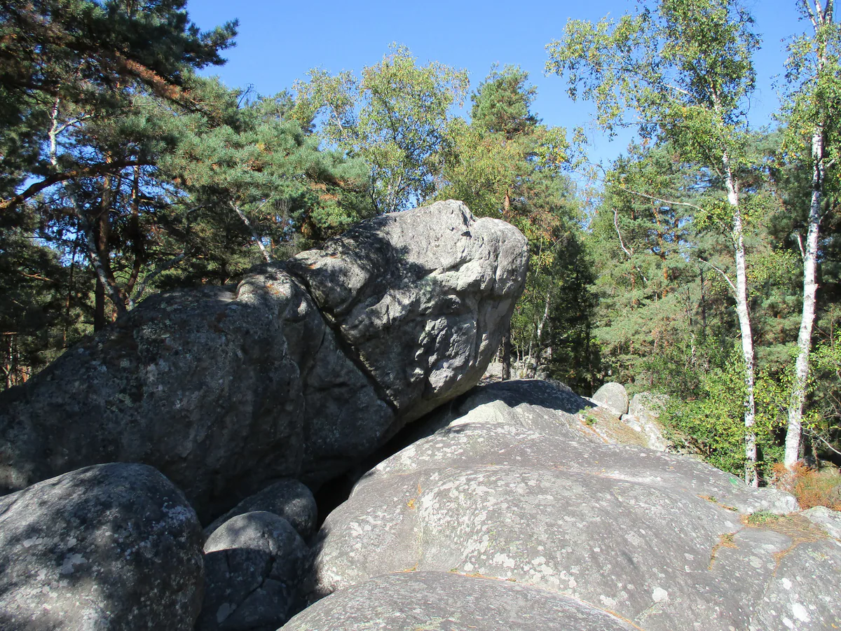 Grand bloc de grès entouré de pins et de bouleaux au Rocher Canon